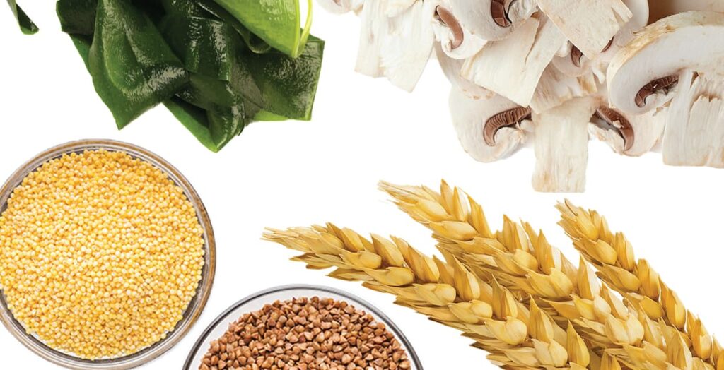 Different Sources of Beta Glucan