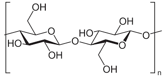 structure du bêta-glucane de levure